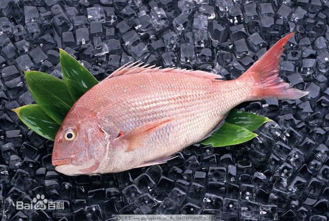 红鲷鱼含有丰富的胶原蛋白,能够帮助缓解肌肤衰老,有减少皱纹的功效