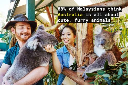 UNDISCOVER AUSTRALIA'S WILDLIFE