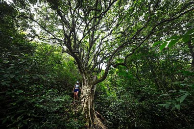 HONG KONG TOURISM BOARD TEAMS UP WITH NATIONAL GEOGRAPHIC ON GREAT OUTDOORS HONG KONG CAMPAIGN!