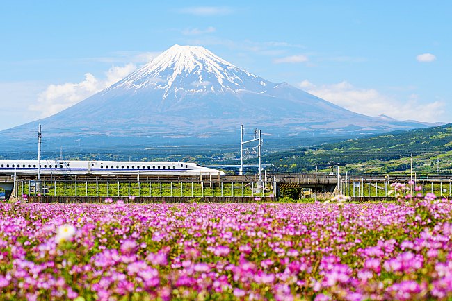 2019 Japan International Tourist Tax Update