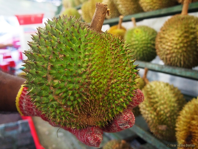 Durian hotspots