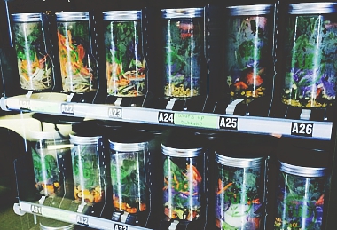 MELBOURNE IS GETTING SALAD VENDING MACHINES