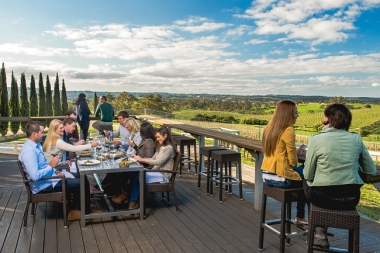 SOUTH AUSTRALIA'S TOP 5 WINE REGIONS!