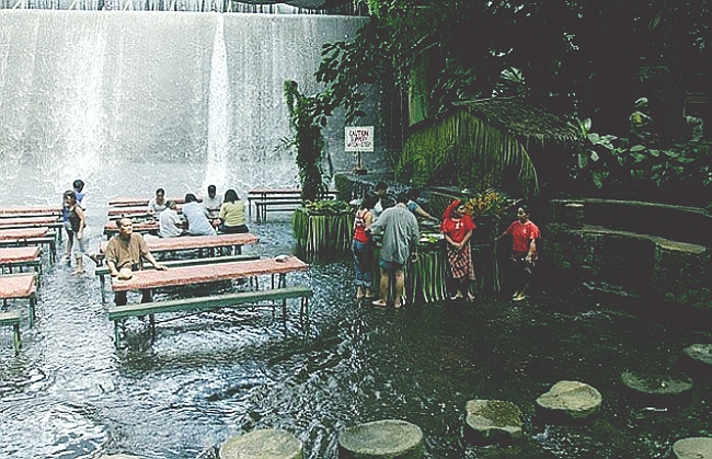 Waterfall Restaurant In Philippines!