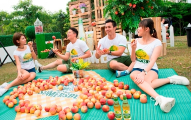 SOMERSBY APPLE CIDERS AT RM5 EACH TO CELEBRATE APPLE DAY!