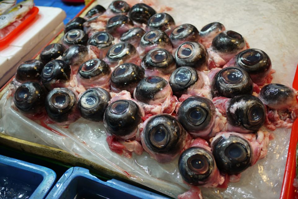 Tuna Eyes