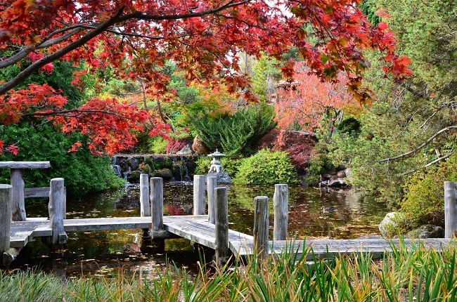 Royal Tasmanian Botanical Garden