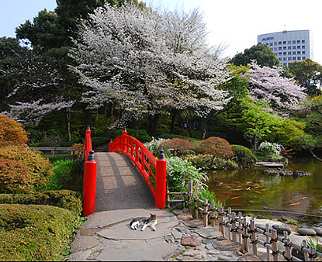 Hotel New Otani Tokyo's Attractions for the Cherry Blossom Season!