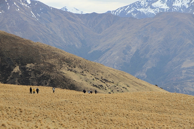 These 10 Magnificent Photos Will Make You Want To Visit Lake Wanaka