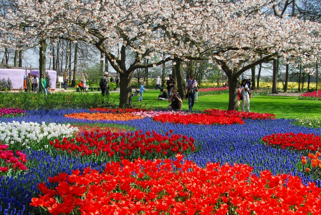 Keukenhof Holland