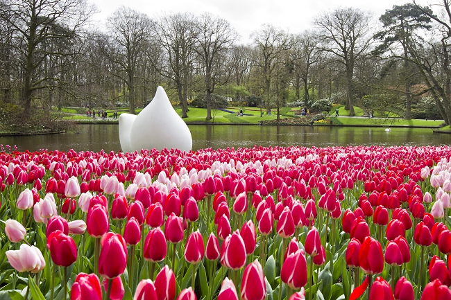 Keukenhof Holland