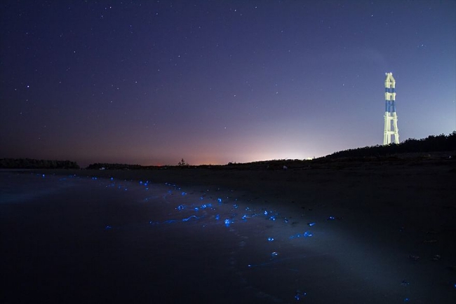 blue glow beach japan