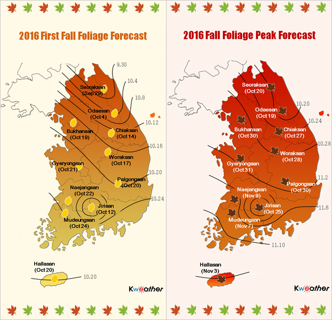 Why Autumn Is The Best Time To Visit Gangwon Province Korea