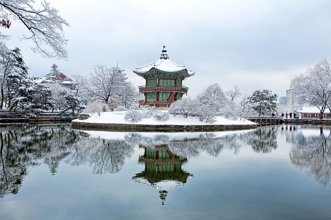 6 Learn-To-Ski In Korea Travel Deals You Can Sign Up For!