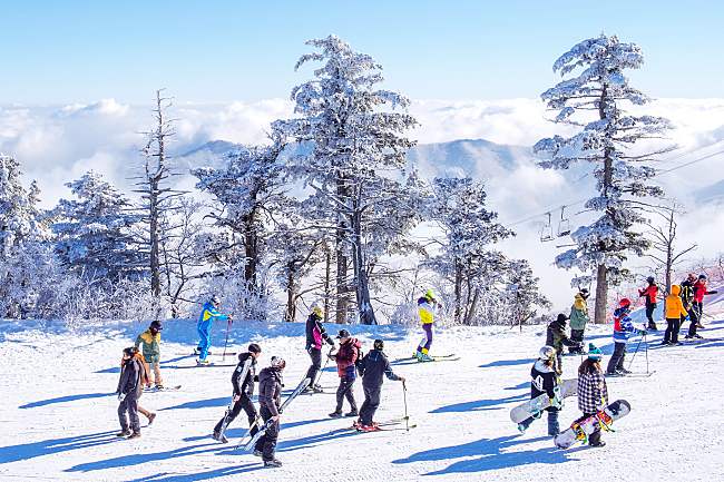 6 Learn-To-Ski In Korea Travel Deals You Can Sign Up For!