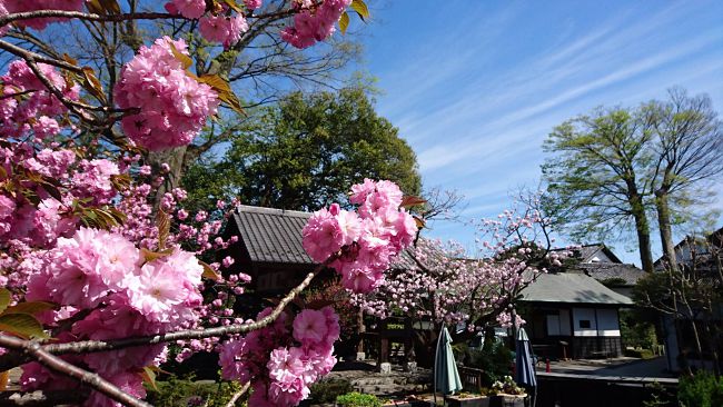 3 Sake Brewery Places You Could Visit In Japan!