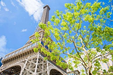 CLIMB THE EIFFEL TOWER IN MACAO?! 