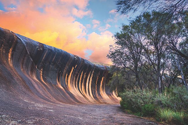 7 Spring Time Wonders in Western Australia!