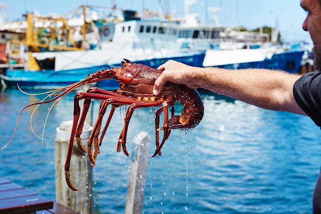 7 Spring Time Wonders in Western Australia!