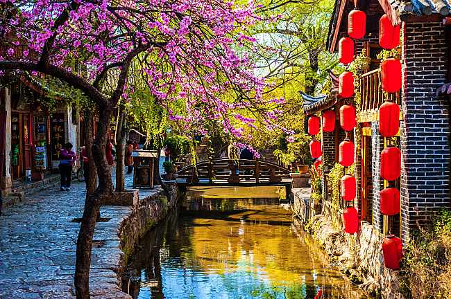 Photography Heaven: You Must Visit Kunming and Lijiang Next!