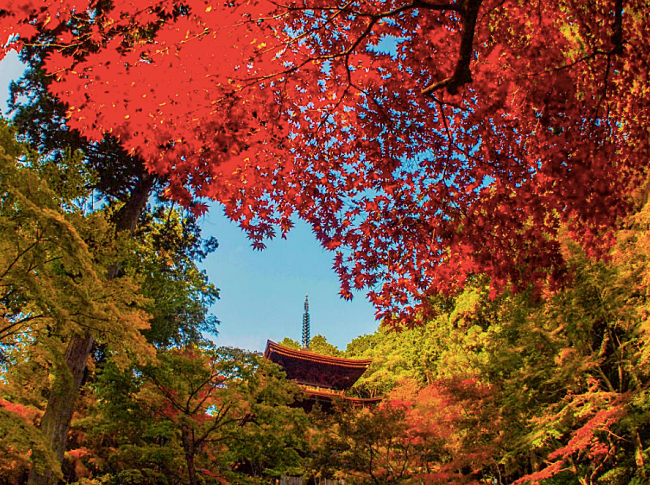 4 Places To Visit To See The Beauty Of Shiga In Fall