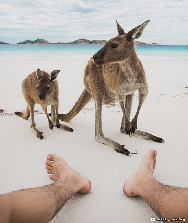 There’s A Road Trip In Australia That’s Focuses On Insta-Worthy Spots!