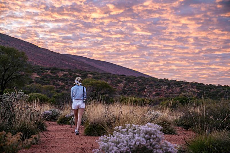 All for the Gram – Discover the Best of Western Australia’s Wildflower Hotspots 