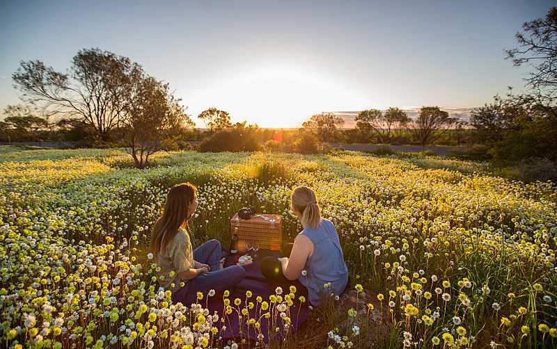 All for the Gram – Discover the Best of Western Australia’s Wildflower Hotspots 