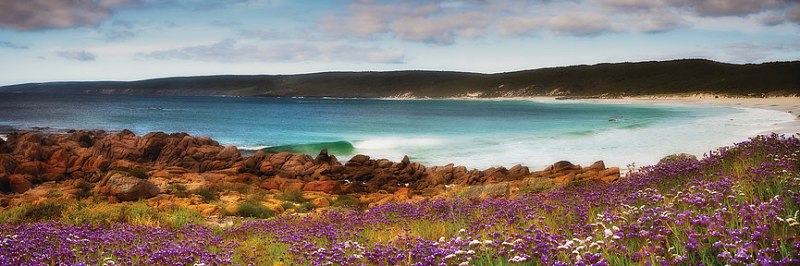 All for the Gram – Discover the Best of Western Australia’s Wildflower Hotspots 