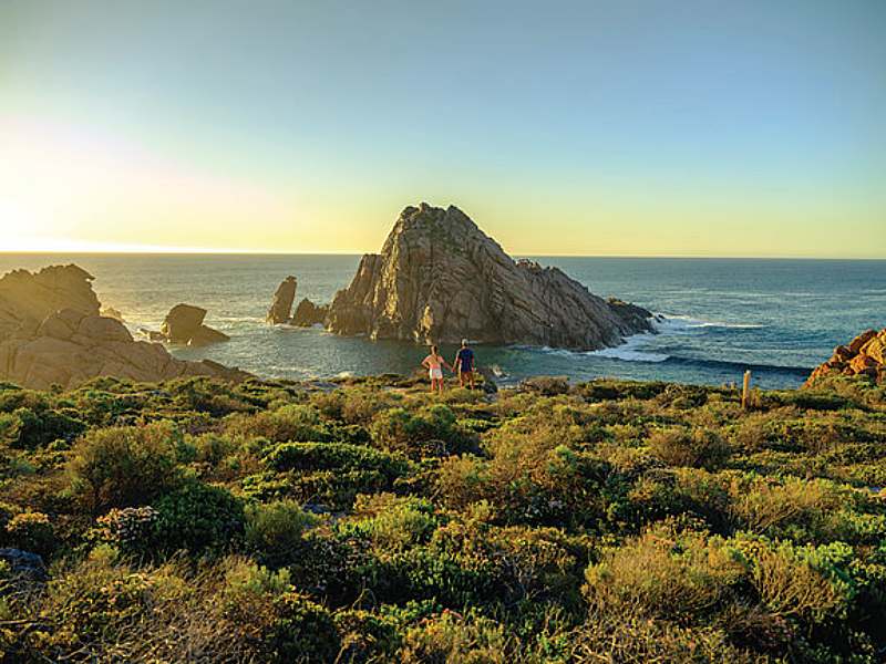 All for the Gram – Discover the Best of Western Australia’s Wildflower Hotspots 