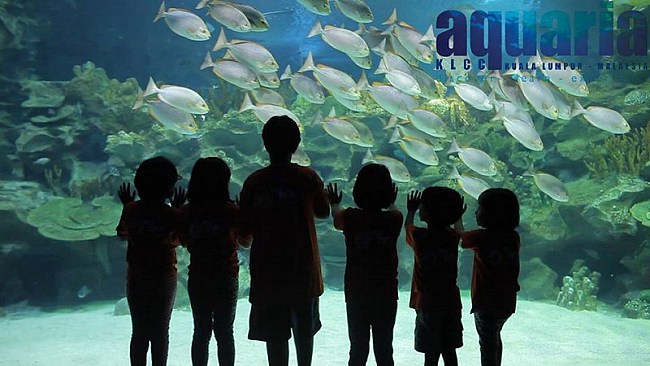 7 Fun-Filled Spots in Malaysia Your Kids Would Absolutely Love!