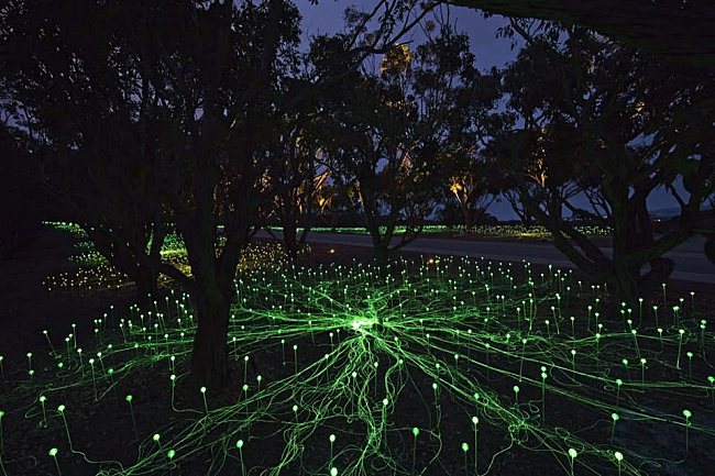 There’s A Field Filled With Lights Somewhere In Western Australia