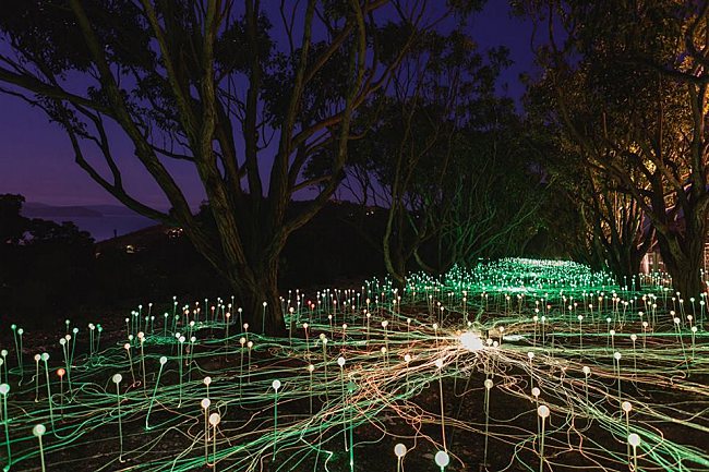 There’s A Field Filled With Lights Somewhere In Western Australia