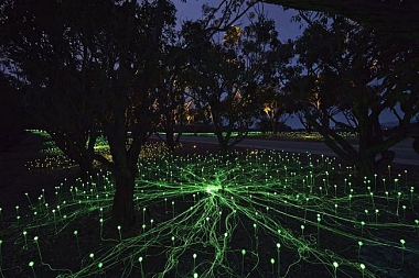 THERE’S A FIELD FILLED WITH LIGHTS SOMEWHERE IN WESTERN AUSTRALIA