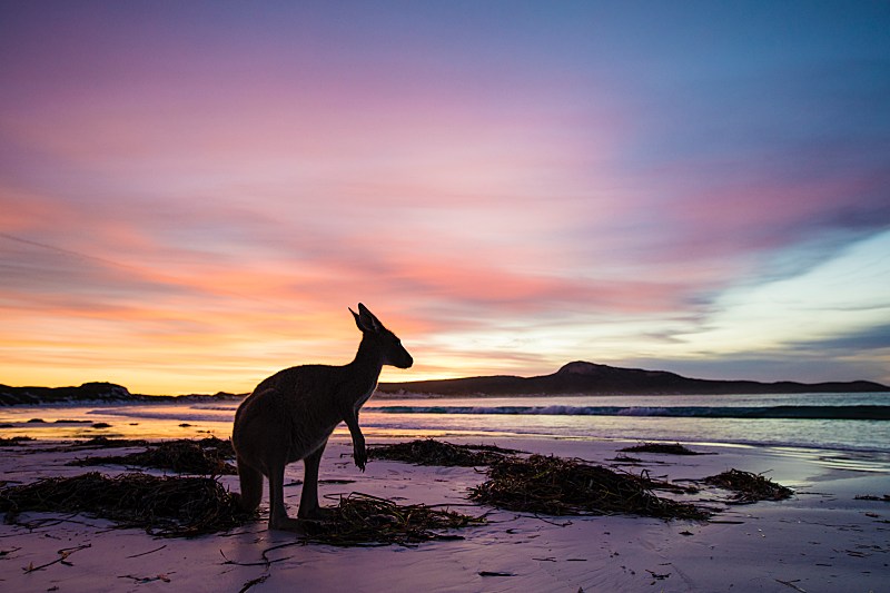 Top 5 Must-Visit Destinations at the Golden Outback in Western Australia