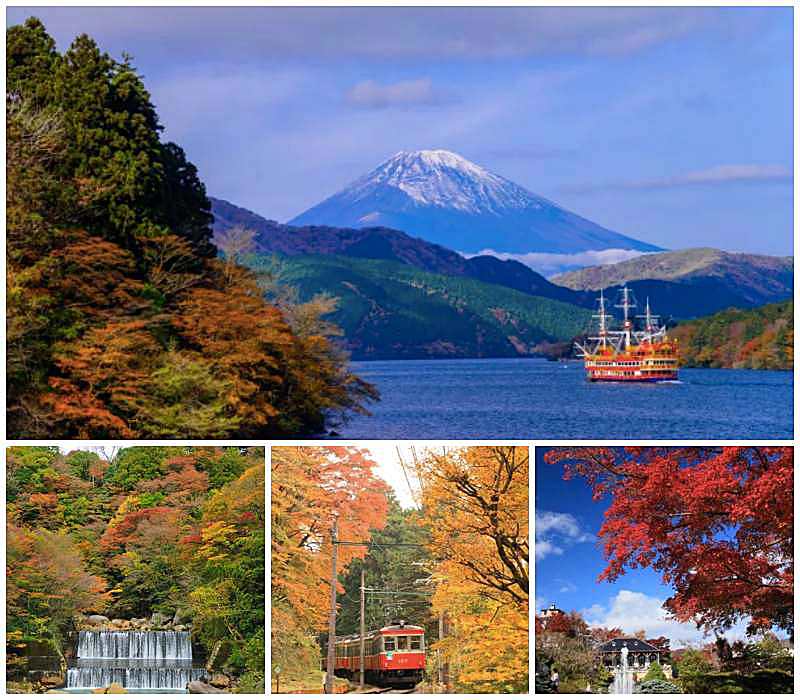 4 Gorgeous Autumn Foliage Spots In Japan! 