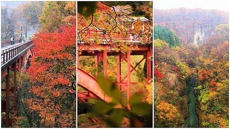 4 Gorgeous Autumn Foliage Spots In Japan! 