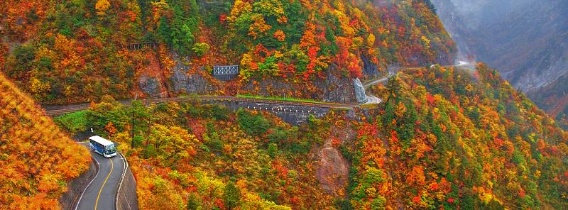 4 Gorgeous Autumn Foliage Spots In Japan! 