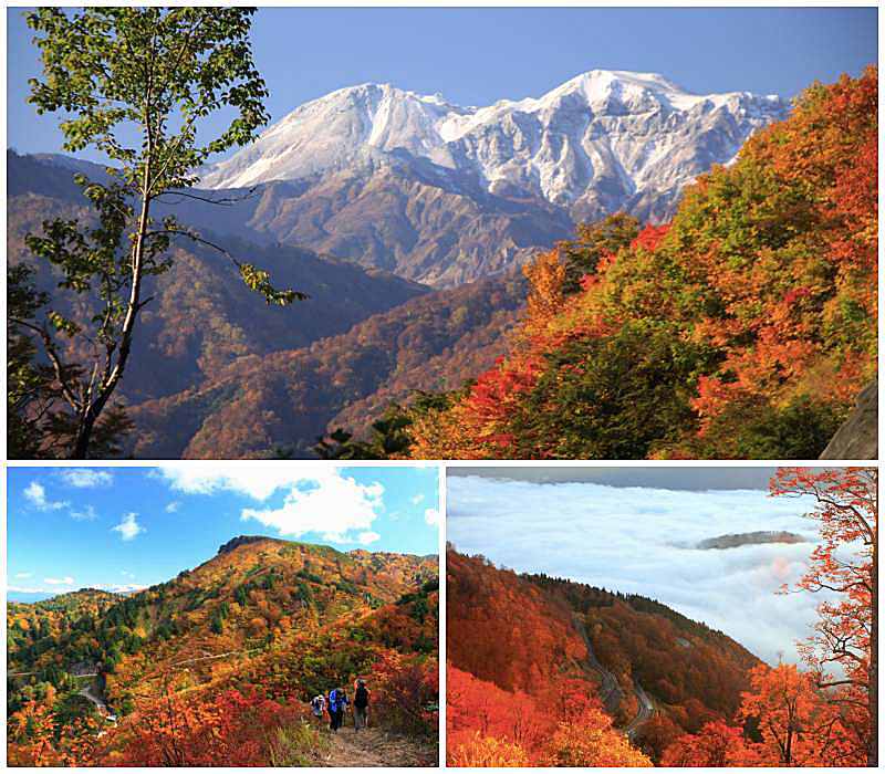 4 Gorgeous Autumn Foliage Spots In Japan! 