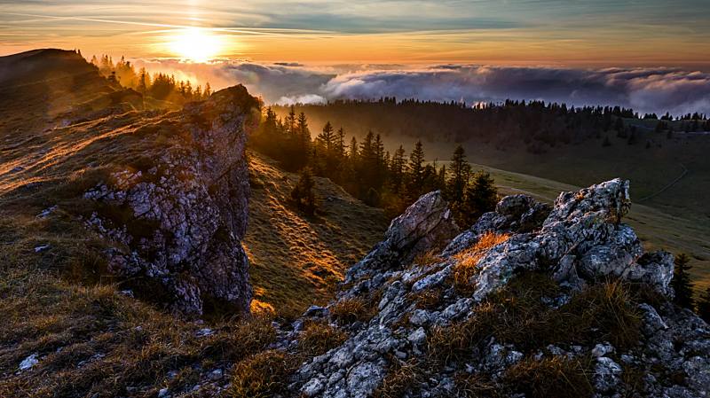 5 Beautiful Swiss Nature Parks To Discover Next! 