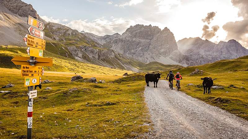 5 Beautiful Swiss Nature Parks To Discover Next! 