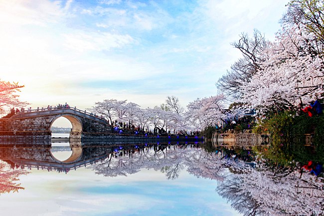 7 Beautiful Cherry Blossom Spots You Won’t Want To Miss This Spring 2019