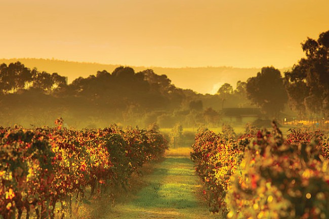 Experience the Subtle Magic of Autumn in Western Australia