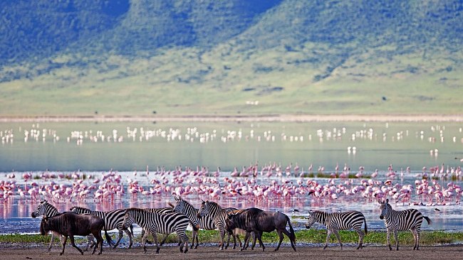 ALERT! Tanzania Announced Plastic Bags Ban In The Country!