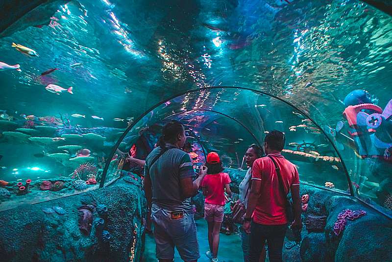 SEA LIFE, the World’s Largest Aquarium Brand is Now in Malaysia!