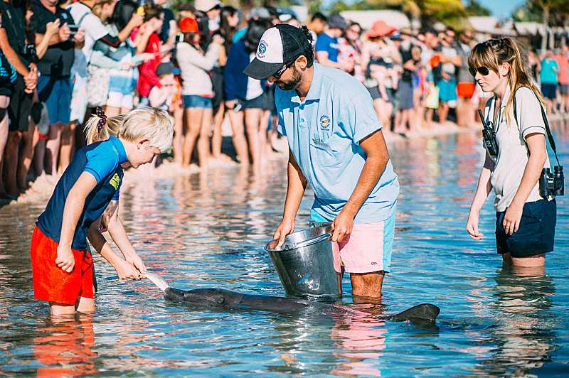 Your Ultimate Checklist to a Muslim-friendly Trip for Families in Western Australia