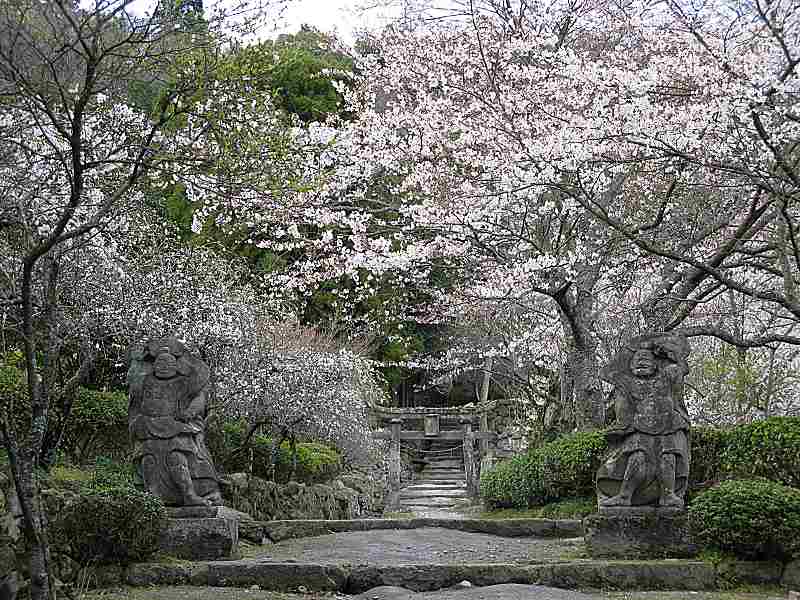 Explore the Storied Past of Japan’s Kunisaki Peninsula On Foot! 