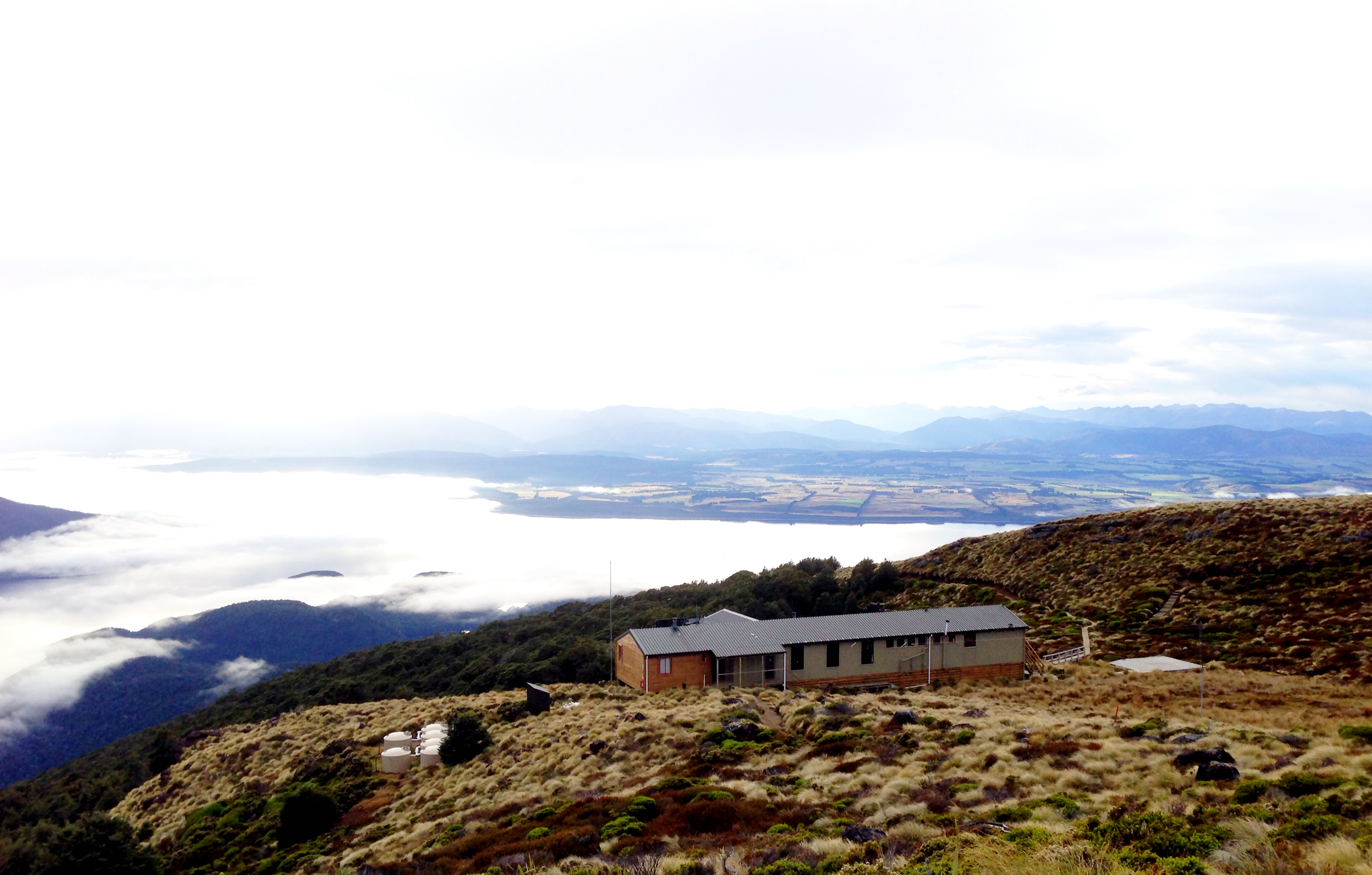 Kepler Track, Fiordland