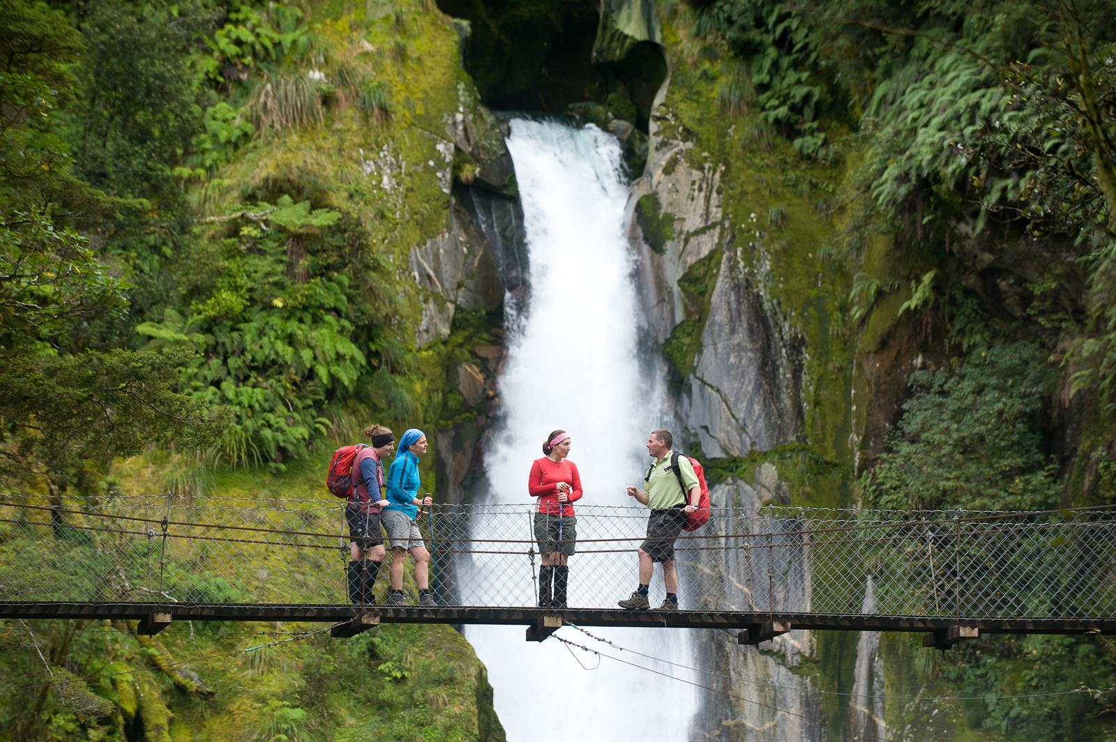 Milford Track, Fiordland