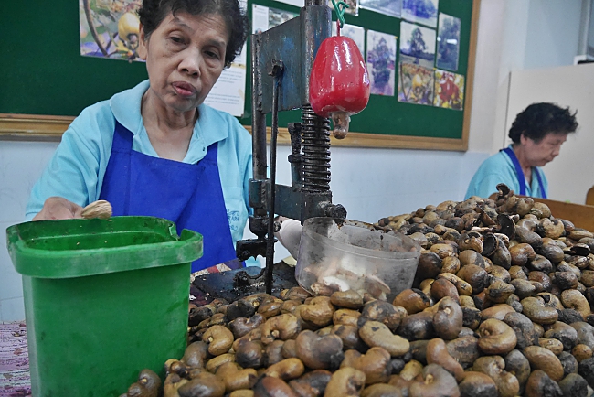 Sri Burapa Cashew Nut Factory